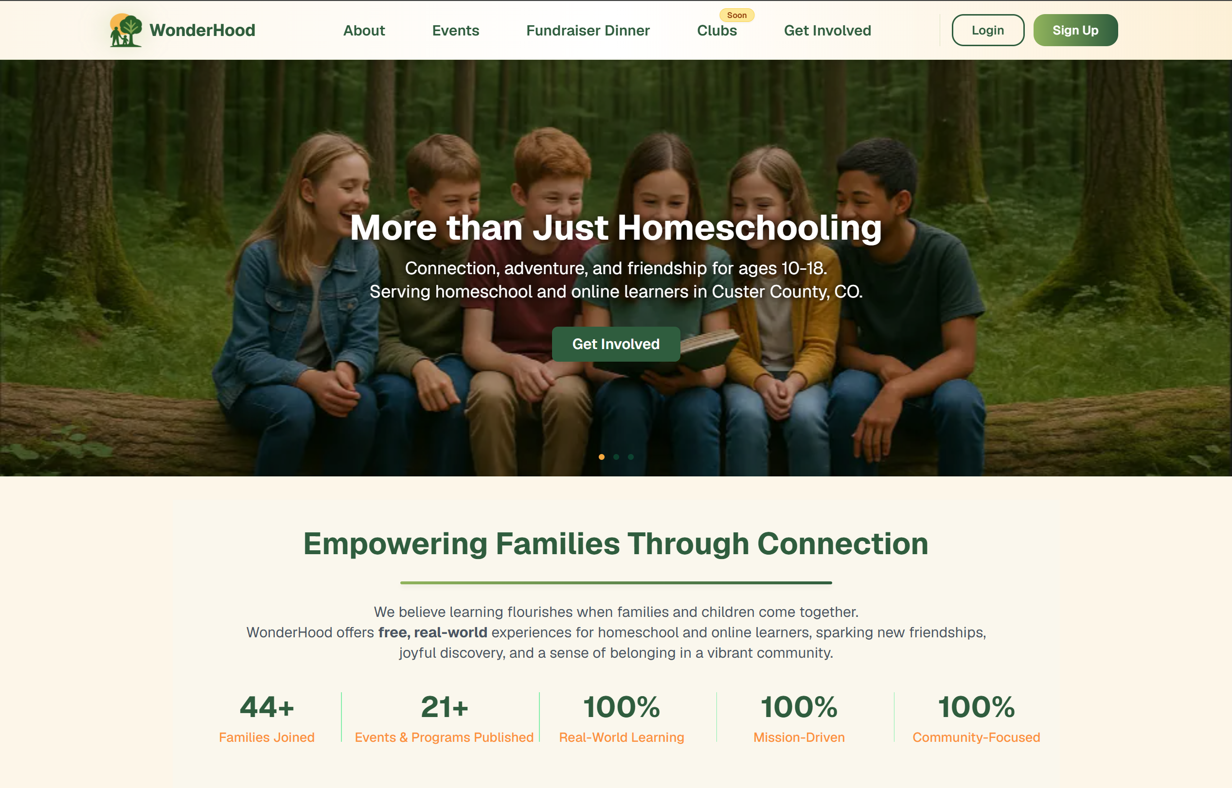 Wonderhood Project homepage screenshot